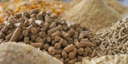 ارتفاع الردة وانخفاض بالصويا والذرة، أسعار الأعلاف والحبوب اليوم الخميس في الأسواق - المدينة برس