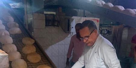تحرير 105 مخالفات تموينية في حملات مكبرة بالدقهلية - المدينة برس