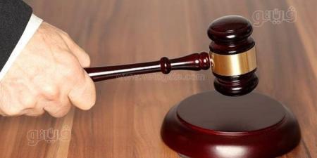 بلاغ يتهم محاميًا باستدراج فتاتين من دار أيتام بميت غمر - المدينة برس