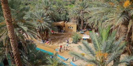 توقعات طقس اليوم الجمعة بالمغرب - بوابة المدينة برس