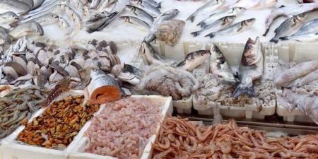 أسعار السمك اليوم، البلطي والجمبري يصالحان المصريين وارتفاع قشر البياض 20 جنيها - المدينة برس
