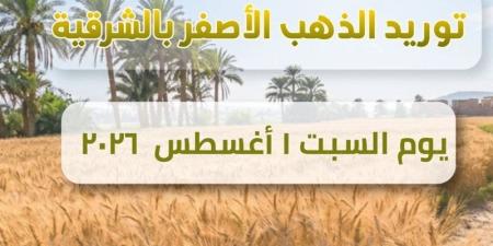 ارتفاع إجمالي القمح المورد لصوامع الشرقية إلى 677 ألف طن - المدينة برس