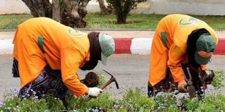 وزارة الداخلية تضيق الخناق على توظيف المياومين خارج الإطار القانوني - بوابة المدينة برس