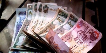 استقرار سعر الدرهم الاماراتي أمام الجنيه في البنك المركزي اليوم الأحد - المدينة برس