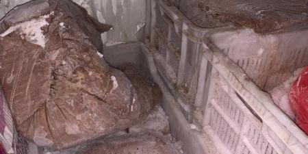 التحفظ على نصف طن آيس كريم فاسد يإحدى الثلاجات في الغربية (صور) - المدينة برس