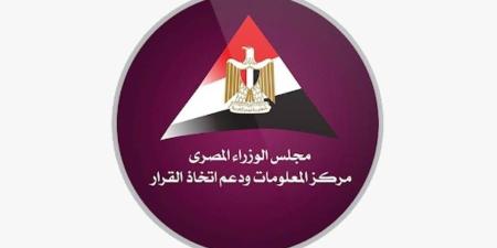 معلومات الوزراء: 9.4 مليارات دولار قيمة متحصلات النقد الأجنبي من خدمات النقل في مصر عام 2024/ 2025 - بوابة المدينة برس