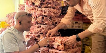 بيطري الغربية يضبط 4 أطنان دواجن فاسدة قبل تداولها بالأسواق (صور) - المدينة برس