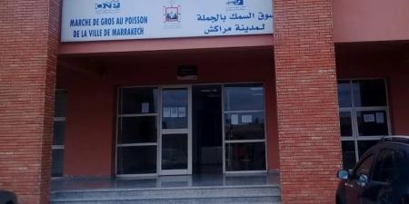 سوق السمك على صفيح ساخن بمراكش .. و"مكتب الصيد" ينفي التضييق - بوابة المدينة برس