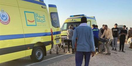 إصابة 17 شخصا في انقلاب ميكروباص بطريق المنيا الصحراوي الغربي - المدينة برس