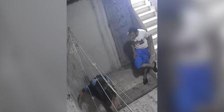 نجلها طردها تحت تأثير المواد المخدرة، أجهزة الأمن تعيد عجوز دار السلام لمنزلها وتوفر الحماية لها - المدينة برس