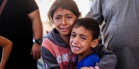 اليونيسف: استشهاد 300 طفل بغزة خلال 300 يوم من وقف إطلاق النار - المدينة برس