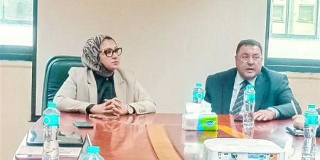 تحرك جديد لدعم التنمية، ربط واحة الفرافرة في الوادي الجديد بالشبكة القومية للكهرباء - المدينة برس