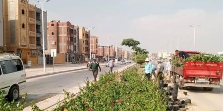 الإسكان تستعرض تنفيذ عدد من المشروعات بمدينتي العاشر من رمضان وحدائق العاشر - المدينة برس