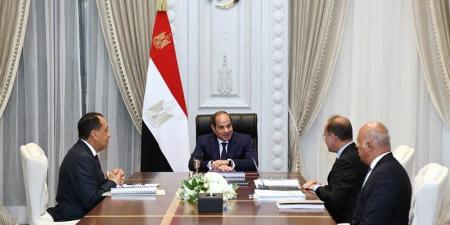 السيسي يوجه بتشكيل لجنة لتفقد الوضع على الأرض ونفاذ المواطنين للشواطئ (فيديو) - المدينة برس
