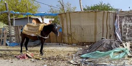 الهشاشة تلتهم "نزالة الرداية" - بوابة المدينة برس