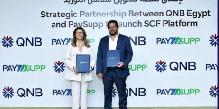 بنك QNB مصر يوقع شراكة مع PaySupp لتقديم حلول رقمية مبتكرة لتمويل سلاسل التوريد - بوابة المدينة برس