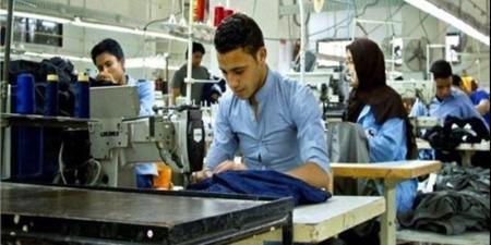 كيف دعم القانون أصحاب المشروعات الصغيرة بحوافز نقدية؟ - المدينة برس
