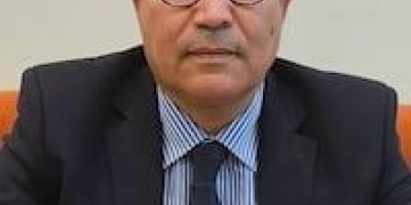المغرب ورهان الثقة والكفاءة - بوابة المدينة برس