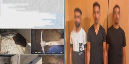 خلافات الجيران تصل إلى قسم الشرطة، ضبط 3 أشخاص بالمقطم ومتهم في مشادة ببنها - المدينة برس