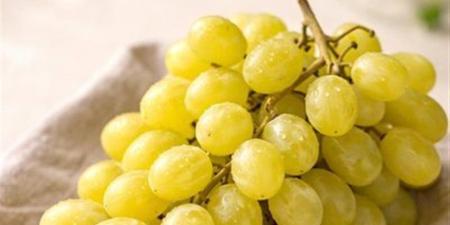 تفسير رؤية العنب الأصفر في المنام وعلاقتها بقدوم مال من ميراث - المدينة برس