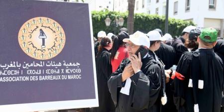 المحامون يحمّلون رئاسة مجلس النواب مسؤولية "الإخلال بالإحالة الدستورية" - بوابة المدينة برس