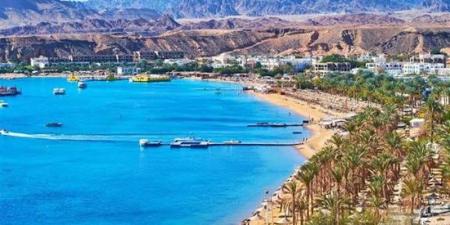 وائل زهير: 9 ملايين سائح زاروا مصر فى النصف الأول من الحالي (فيديو) - المدينة برس