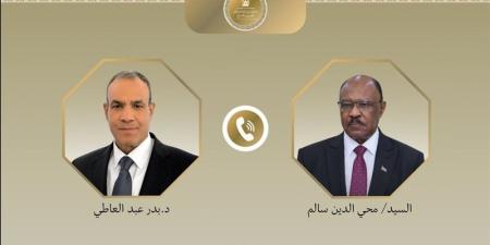 وزير الخارجية يجدد دعم مصر لوحدة السودان وسيادته ورفض أي محاولات لتقسيمه - المدينة برس