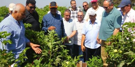 البحوث الزراعية في أسبوع، 50 نشاطًا بحثيًا وتدريبيًا ورقابيًا لدعم الأمن الغذائي وتوطين التكنولوجيا - المدينة برس