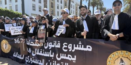 قراءة في قرار المحكمة الدستورية بشأن قانون تنظيم مهنة المحاماة - بوابة المدينة برس