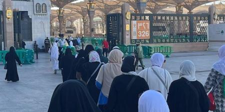 التضامن تفتح باب التقديم لحج الجمعيات الأهلية 2027، وهذه شروط التقديم والقبول - المدينة برس