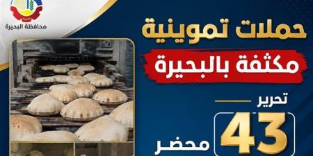 تحرير 34 مخالفة في حملات على المخابز بالبحيرة - المدينة برس