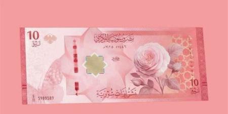 الدولار يسجل 132.00 ليرة للبيع في مصرف سوريا المركزي اليوم الأحد - المدينة برس
