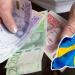سعر الكرون السويدي أمام الجنيه بالبنوك المصرية اليوم الجمعة (آخر تحديث) - المدينة برس