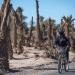 توقعات طقس اليوم الجمعة بالمغرب - بوابة المدينة برس