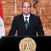 السيسي يعود إلى أرض الوطن عقب زيارة تنزانيا - المدينة برس