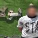غامر بحياته من أجل اللهو، حركات استعراضية بدراجة نارية تنتهي في قبضة الشرطة ببولاق - المدينة برس