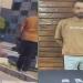 ضبط عاطل ظهر في فيديو بحالة عدم اتزان تحت تأثير المخدرات بالقليوبية - المدينة برس