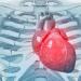 5 فيتامينات ضرورية لحماية القلب، ونقصها يسبب مضاعفات خطيرة - المدينة برس