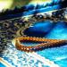تأثير 180 درجة، ذكر الله سر السكينة وقوة النفس وصلاح المجتمع - المدينة برس