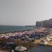 رفع الرايات الخضراء والصفراء، شواطئ الإسكندرية كاملة العدد - المدينة برس
