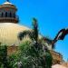 جامعة القاهرة توثق ثروة مصر النباتية في أول تحديث شامل للفلورا المصرية منذ 15 عامًا - المدينة برس