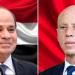 توافق مصري تونسي على تغليب الحلول السياسية وخفض التصعيد ومواجهة التحديات - المدينة برس