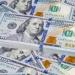 سعر الدولار اليوم الثلاثاء 4-8-2026 بمستهل التعاملات الصباحية - بوابة المدينة برس