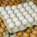 ارتفاع الأحمر والأبيض، سعر كرتونة البيض اليوم الأحد في بورصة الدواجن - المدينة برس