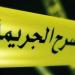 "زوجك عمل حادثة.. يلا نشوفه"، اعترافات المتهم بقتل أسرة التجمع تكشف كواليس الجريمة - المدينة برس
