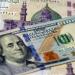 ارتفاع سعر صرف الدولار فى البنوك المصرية (آخر تحديث) - المدينة برس