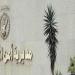 مصرع طفل سقط من سطح منزله في الإسكندرية - المدينة برس