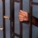 المتهم بقتل ابنته و3 من أهل طليقته بـ"15 مايو" يمثل الجريمة - المدينة برس