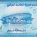 آخر تطورات سعر الدرهم الإماراتي مقابل الجنيه في البنوك المصرية - المدينة برس