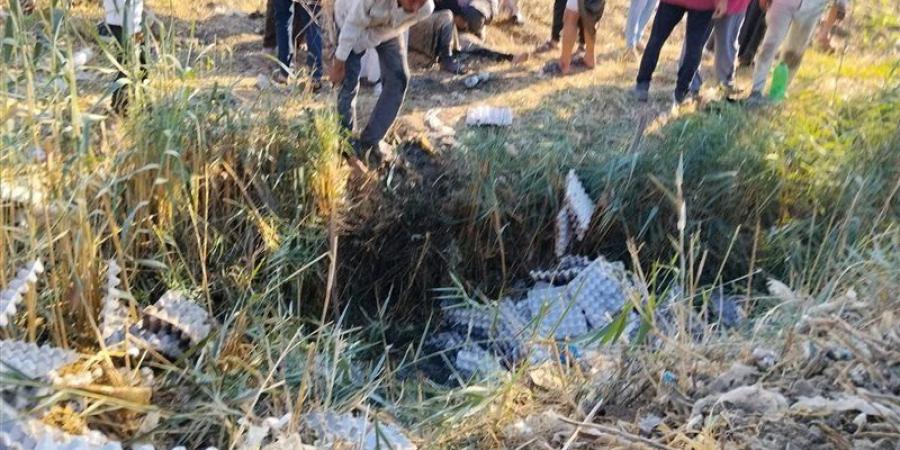 إصابة 3 أشخاص من الفيوم في حادث انقلاب تروسيكل - المدينة برس